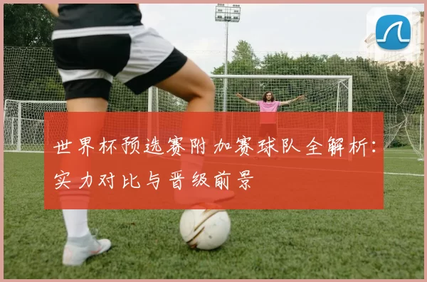 世界杯预选赛附加赛球队全解析:实力对比与晋级前景