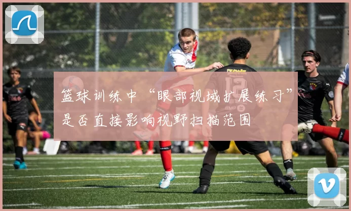 篮球训练中“眼部视域扩展练习”是否直接影响视野扫描范围