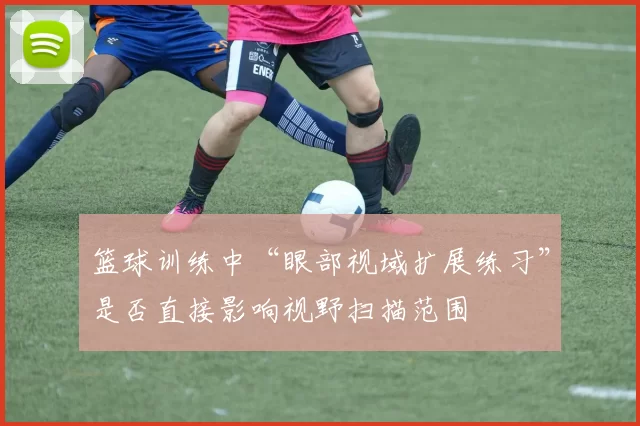 篮球训练中“眼部视域扩展练习”是否直接影响视野扫描范围