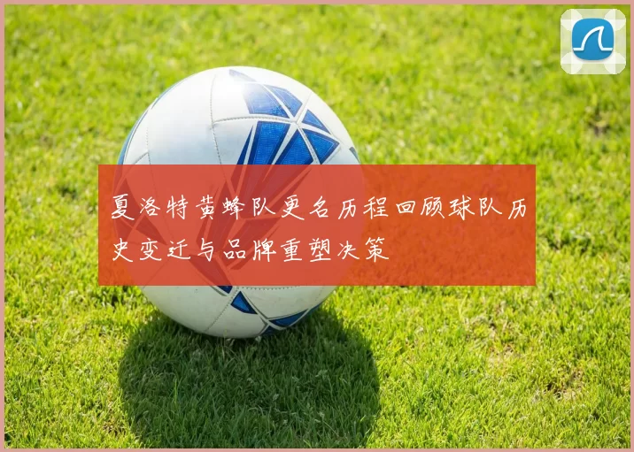 夏洛特黄蜂队更名历程回顾球队历史变迁与品牌重塑决策