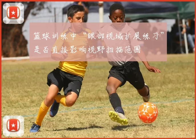 篮球训练中“眼部视域扩展练习”是否直接影响视野扫描范围