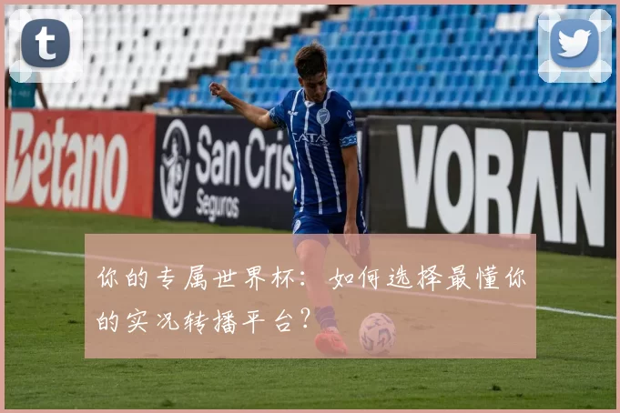 你的专属世界杯:如何选择最懂你的实况转播平台?