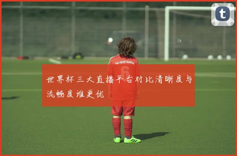 世界杯三大直播平台对比清晰度与流畅度谁更优