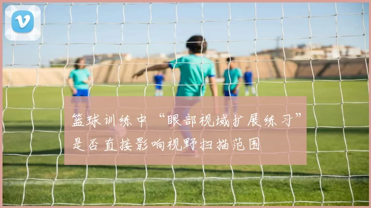 篮球训练中“眼部视域扩展练习”是否直接影响视野扫描范围