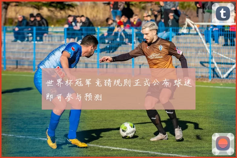 世界杯冠军竞猜规则正式公布 球迷即可参与预测