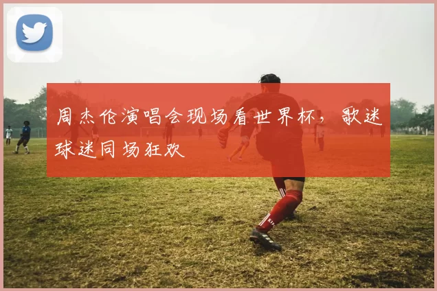 周杰伦演唱会现场看世界杯,歌迷球迷同场狂欢