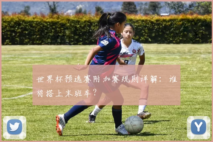 世界杯预选赛附加赛规则详解:谁将搭上末班车?