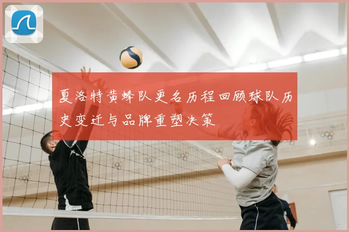 夏洛特黄蜂队更名历程回顾球队历史变迁与品牌重塑决策