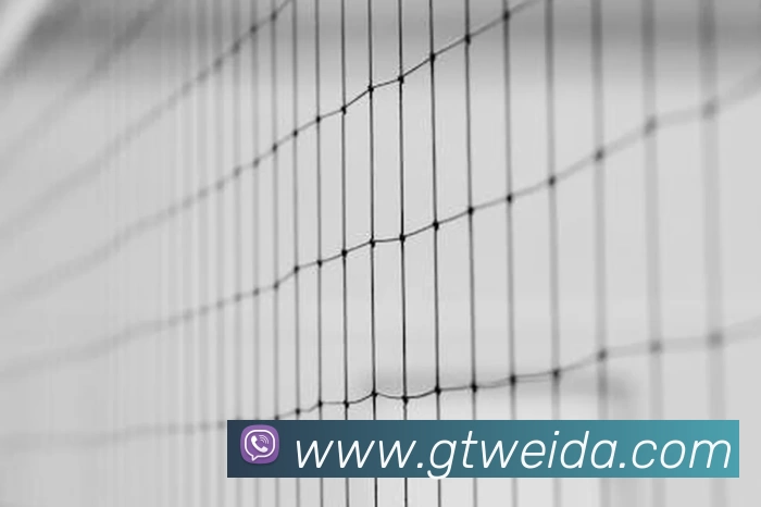 九游体育发展历程